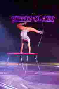 zippo-circus-26