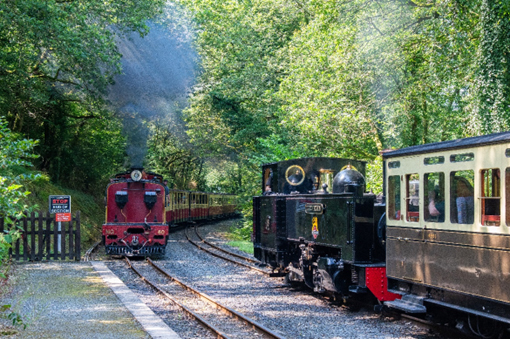 Garratt No.60 “Drakensberg” arrives at Aberffrwd station in July 2024, passing No.8 “Llewelyn”. Photo: Andrew Simmonds.